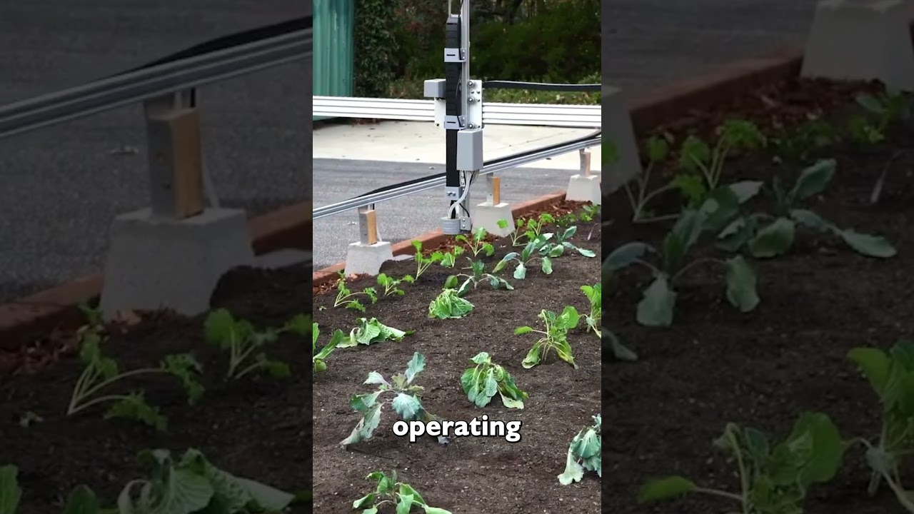 FarmBot Genesis | Автономное фермерство для всех