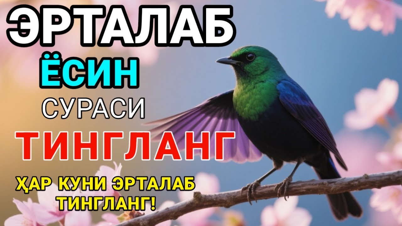 Ёсин сураси қийин дамда ўқилса, Аллоҳ таоло банда аҳволини енгиллаштиради | Тонги дуо🤲💸
