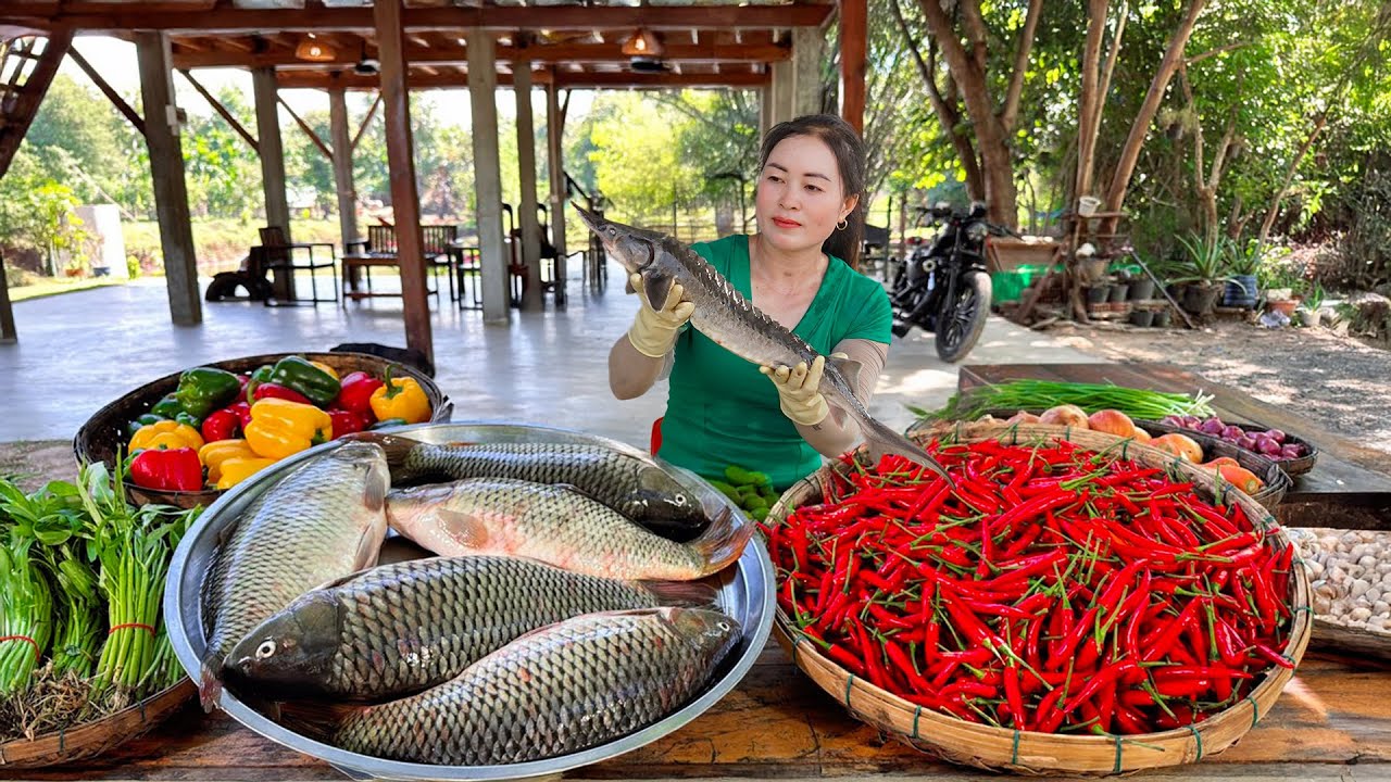 TIMELAPSE - From Stream to Feast, Cooking Fresh Fish in Vietnamese Countryside Life by @HaTrinhTv