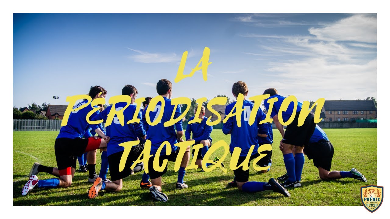 Formation des éducateurs - La Périodisation Tactique - U13+