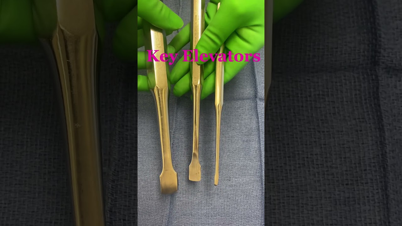 Key Elevators are a surgical favorite for retracting & dissecting periosteum from underlying bone.