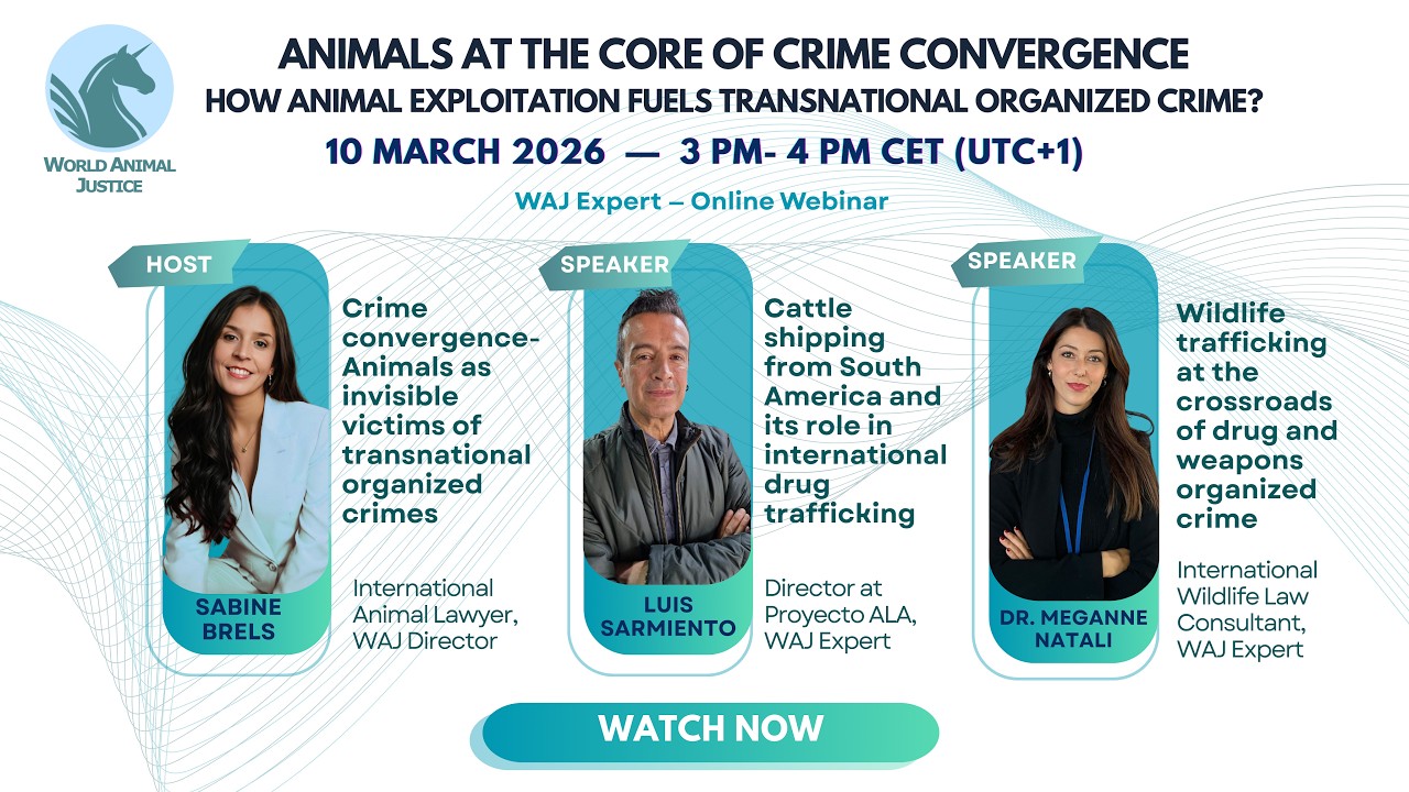 Animals in Crime Convergence–WAJ Expert Webinar