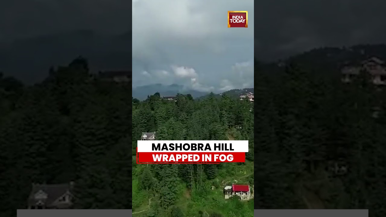 Mesmerising Drone Views Of Fog-Covered Mashobra Hills In Shimla | Himachal Pradesh