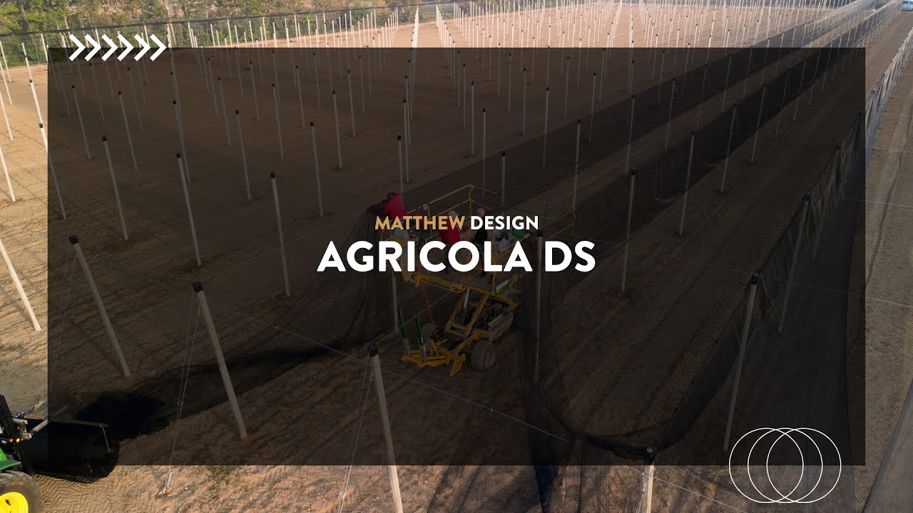 🥝 La creazione di una piantagione di Kiwi | Agricola Ds 🥝