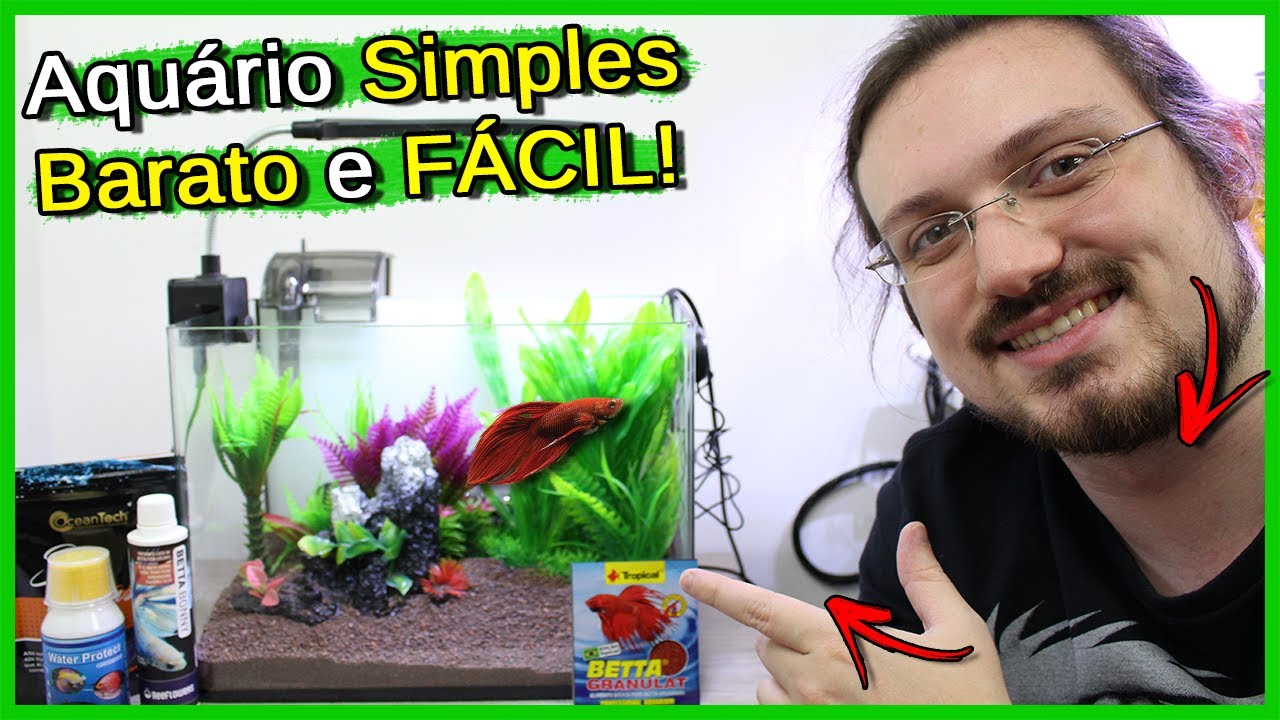 Como Montar seu Primeiro AQUÁRIO! - BARATO e FÁCIL!