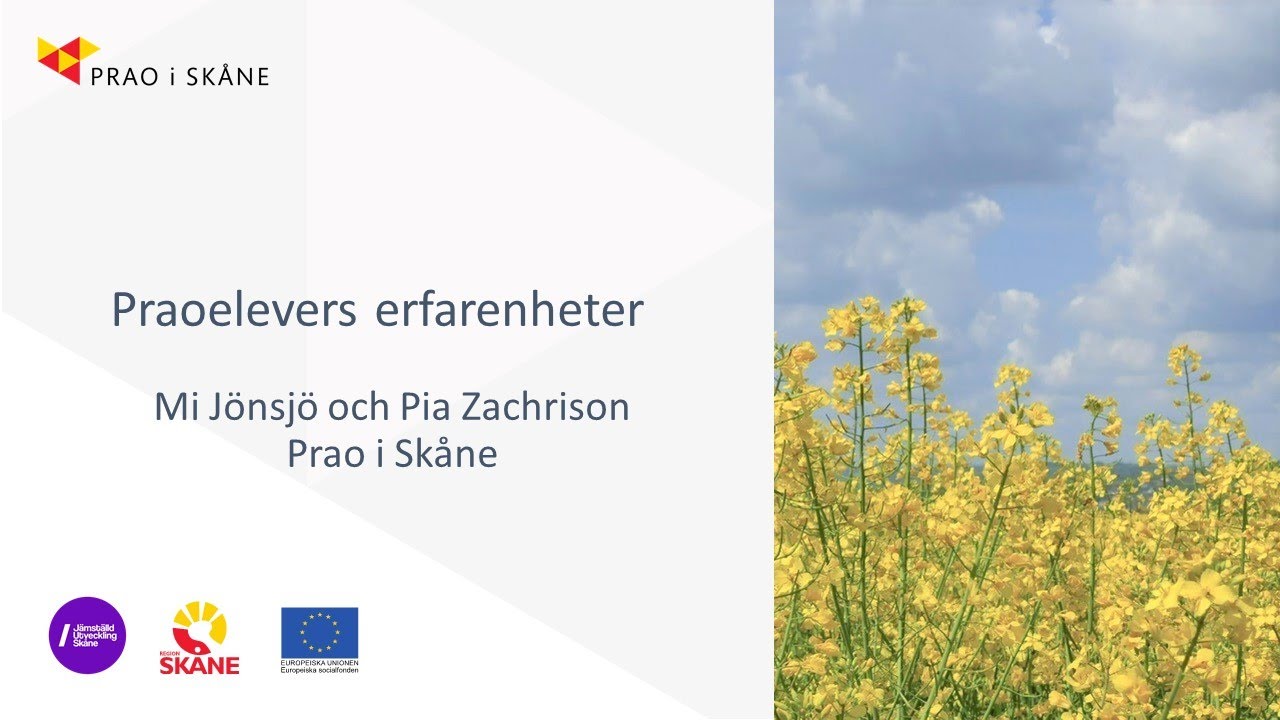 Jämställd prao - Praoelevers erfarenheter
