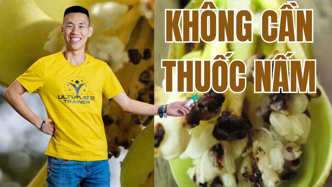 Bạn có muốn bông sầu riêng không bị nấm thán thư tấn công | Phạm Đức Thiện