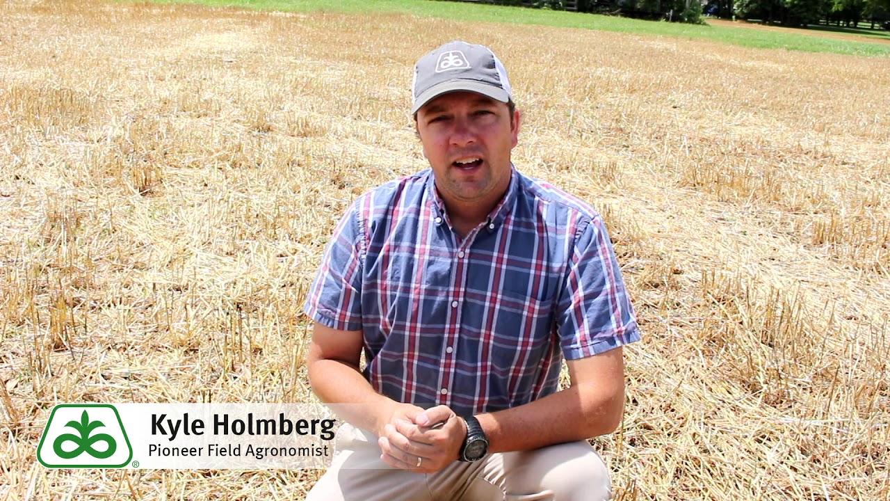 Double Crop Soybean Populations