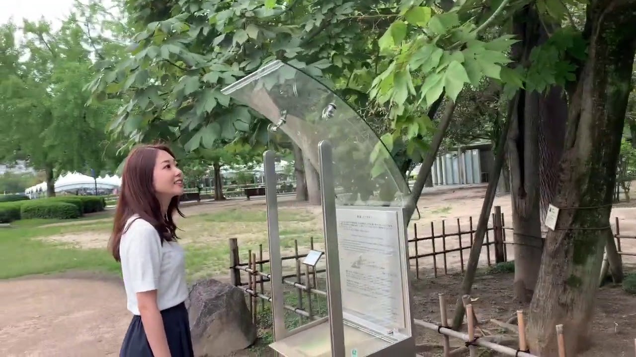 アオギリのうた　森光七彩