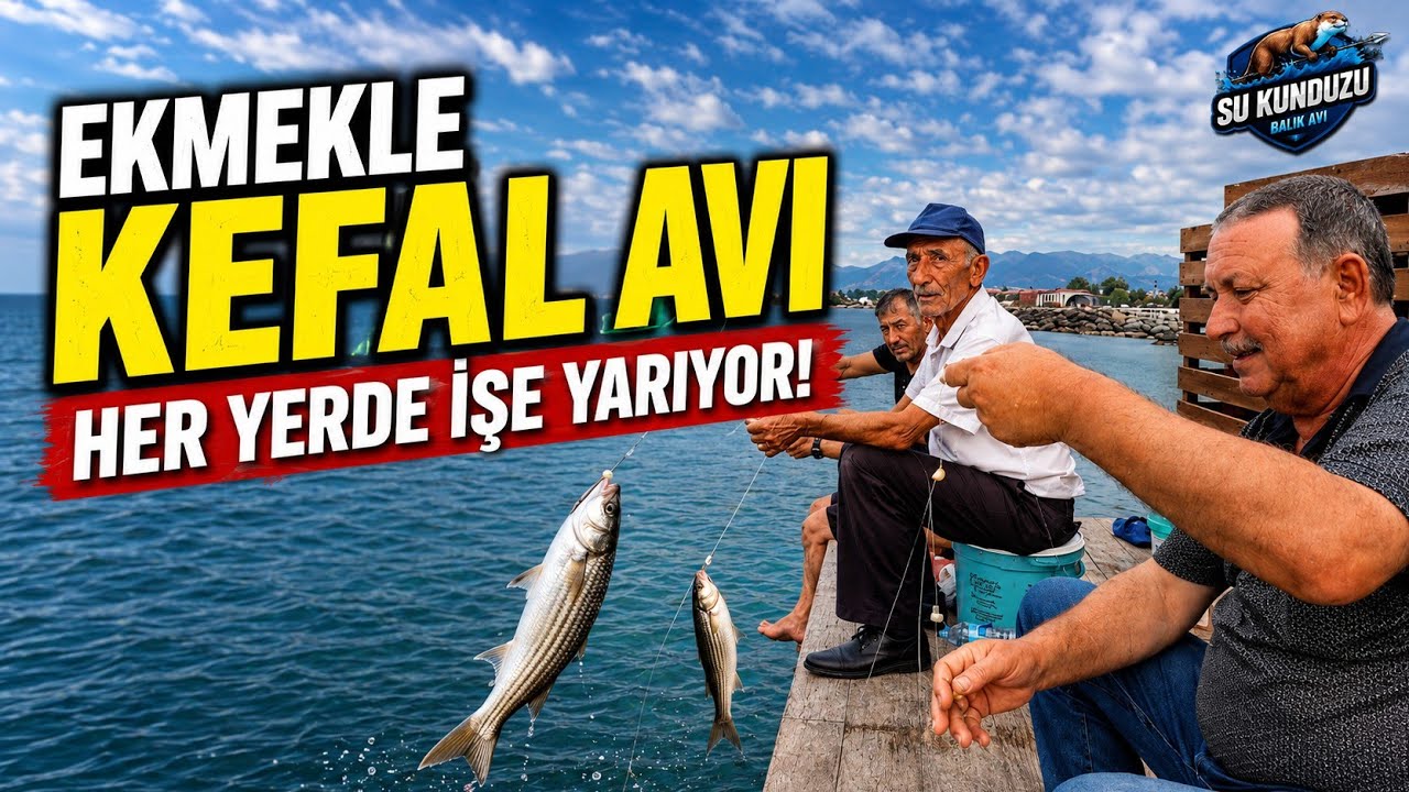 HER YERDE EN BÜYÜK KEFALLLERİ EKMEK LE YAKALARSINIZ, EFSANE EKMEKLE KEFAL YAKALAMA TARİFİ. 🇹🇷🇹🇷🇹🇷