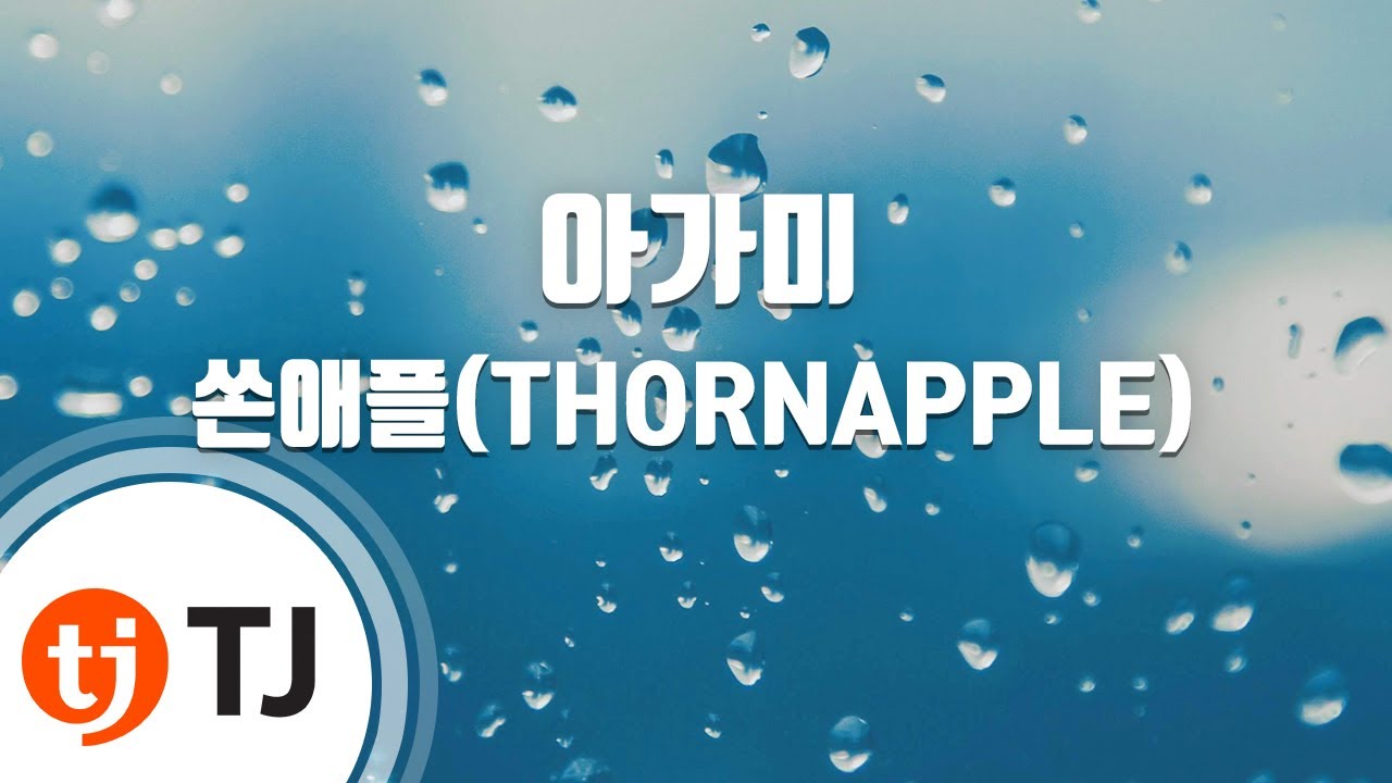 [TJ노래방] 아가미 - 쏜애플(THORNAPPLE) / TJ Karaoke