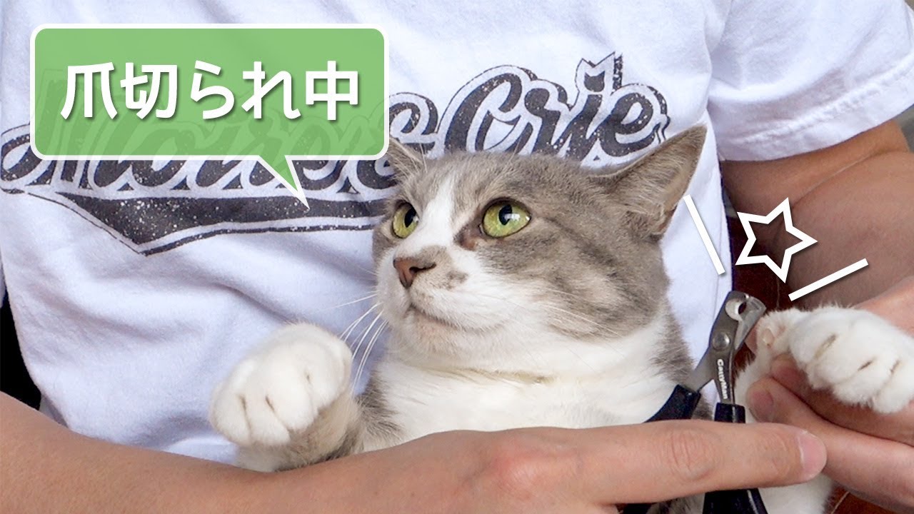 モフモフ・ネイルサロン