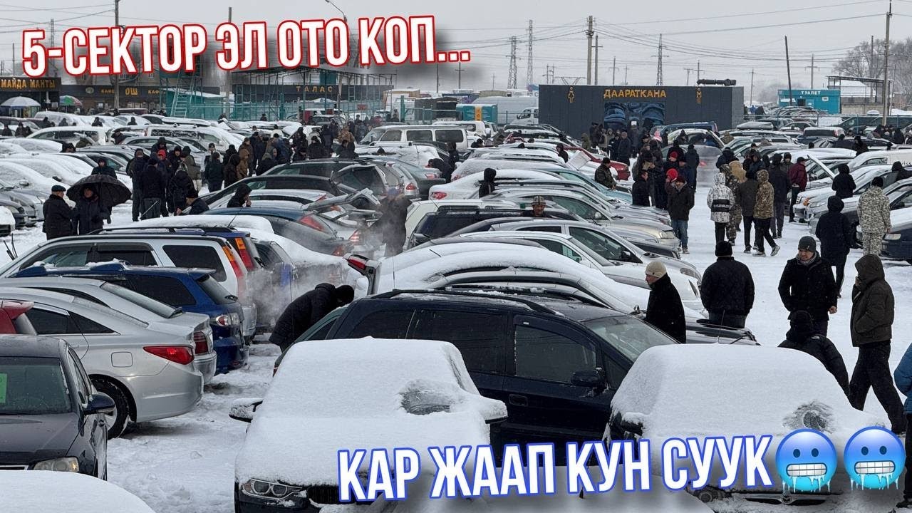 Бишкек Унаа базары 5-Сектор Бюджетный унаалар Эл ото коп🤩 Озгочо Съёмка болду