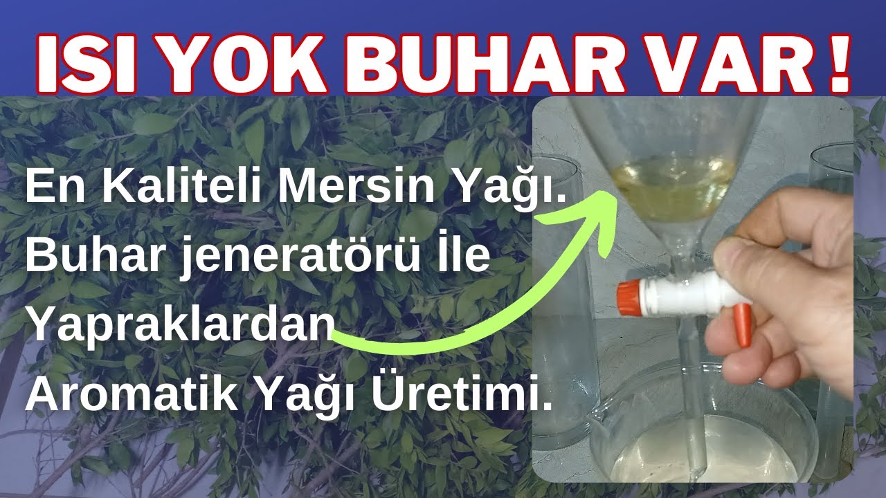 BUHAR JENERATÖRLÜ MÜKEMMEL AROMATİK YAĞ ÜRETİMİ. MERSİN YAPRAK YAĞI NASIL ÇIKARILIR?