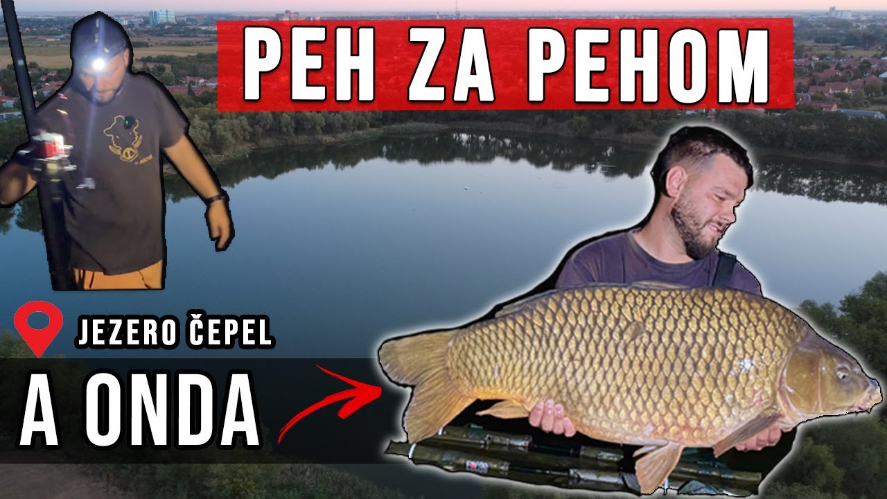 Peh za pehom… a onda kapitalac – Jezero Čepel | Šaranski Ribolov