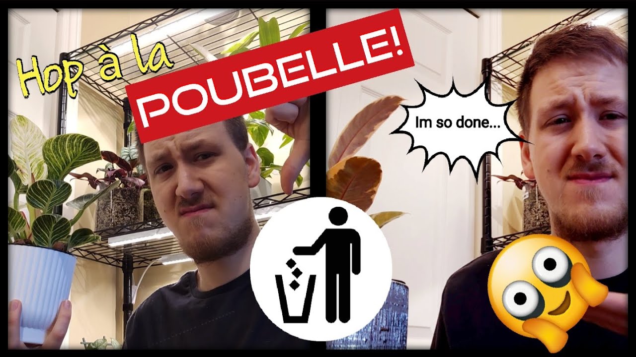 Bon Débarras! 🪴🚮 | Les plantes qui DOIVENT quitter ma collection... 😮