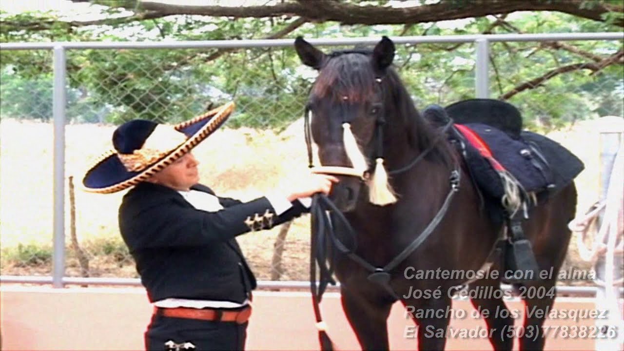 Cantemosle con el alma Jose Cedillos
