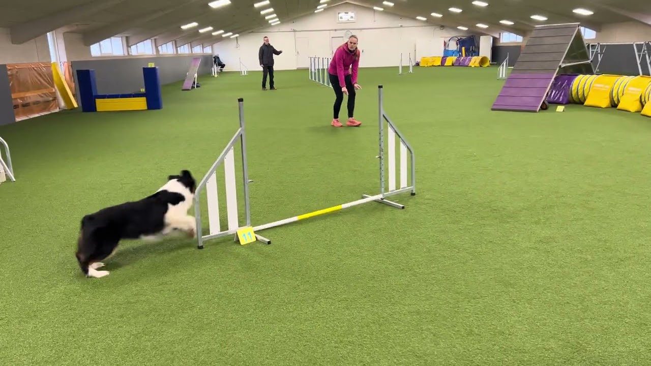 Tryllé sp1 DCH Herning marts 2026