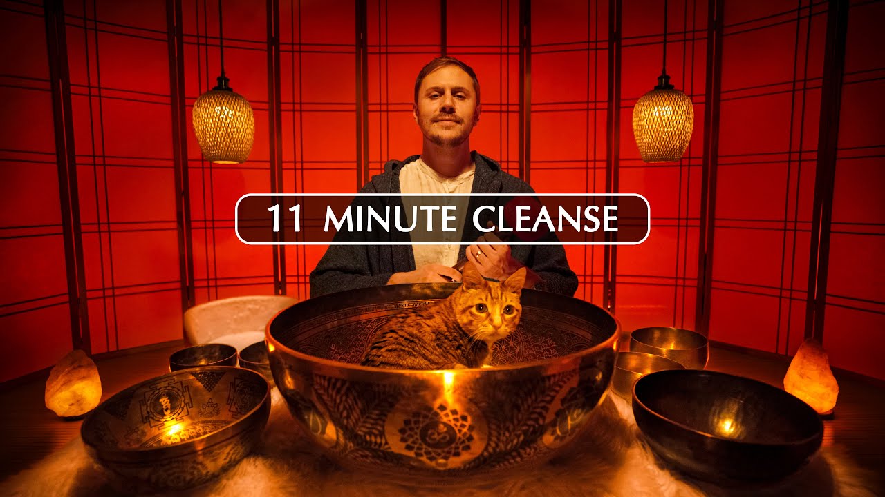 [NEW] QUICK **Parasympathetic Nervous System** RESET  (11 minute cleanse)