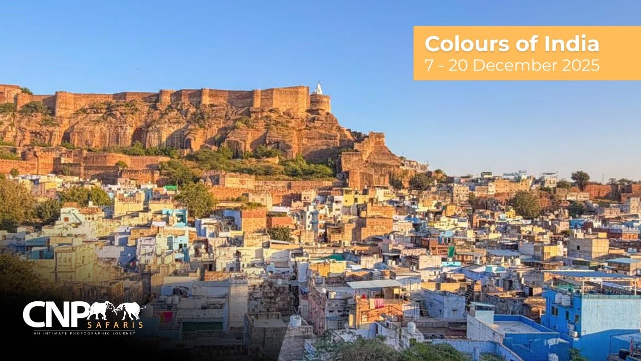 'Colours of India' photography cultural excursion, December 2025 with CNP Safaris