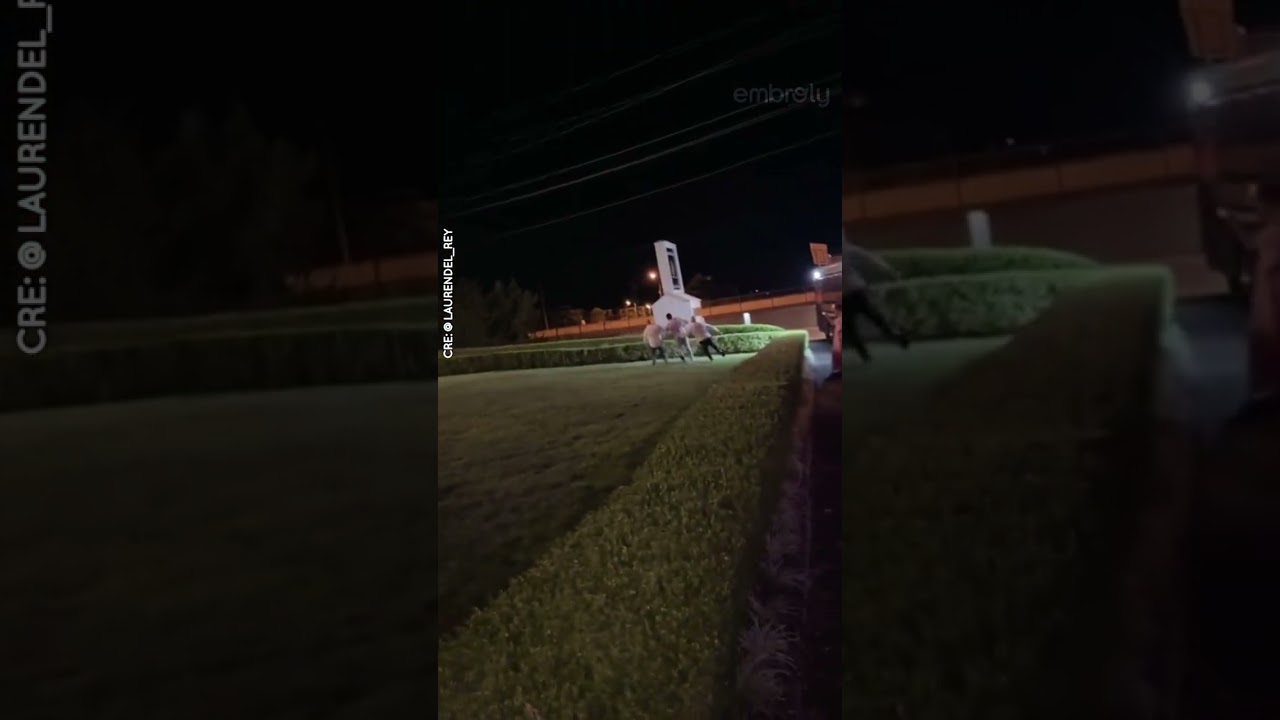 Небольшая гонка перед окончанием свадьбы 🥴