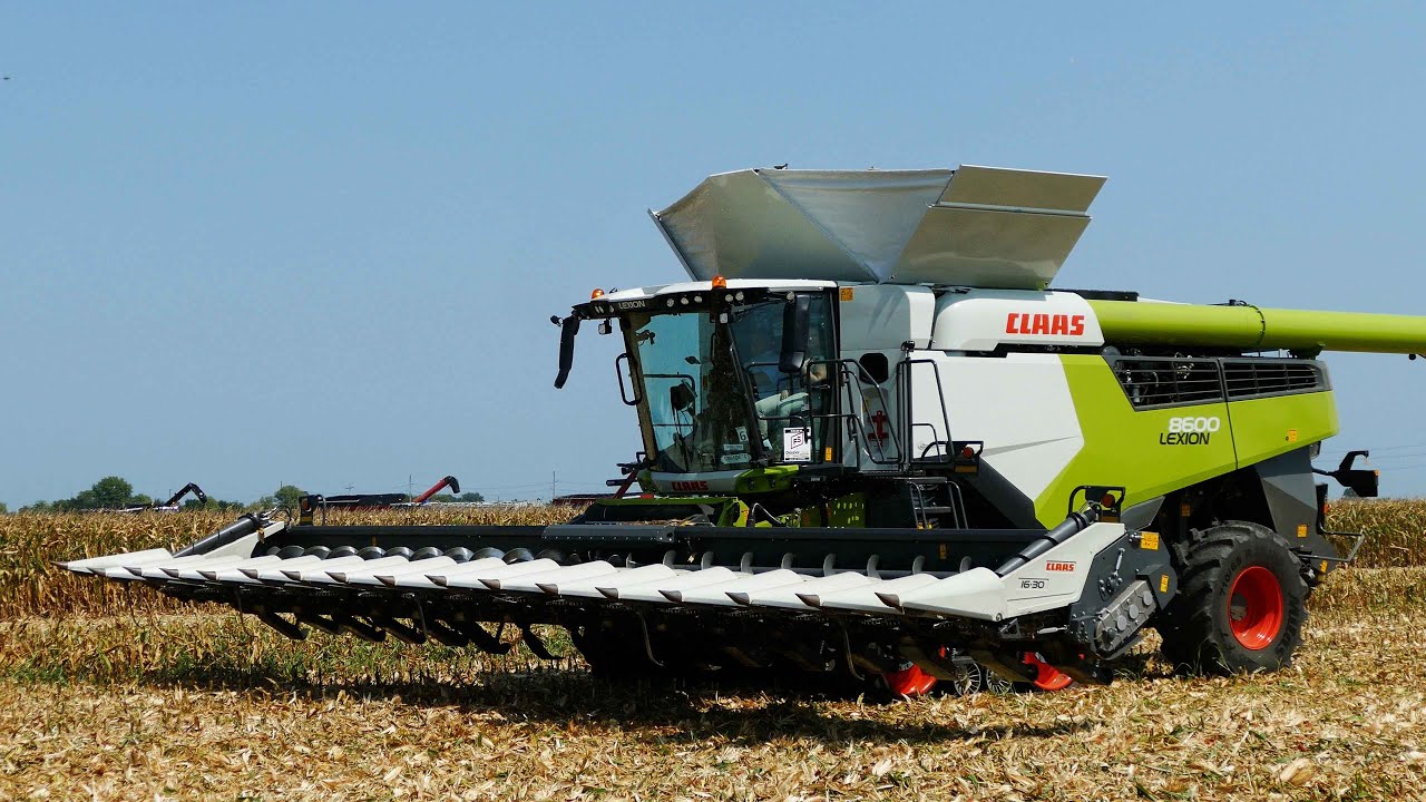 Claas Lexion 8600 harvesting corn with 16-row Header | Corn Harvest 2023