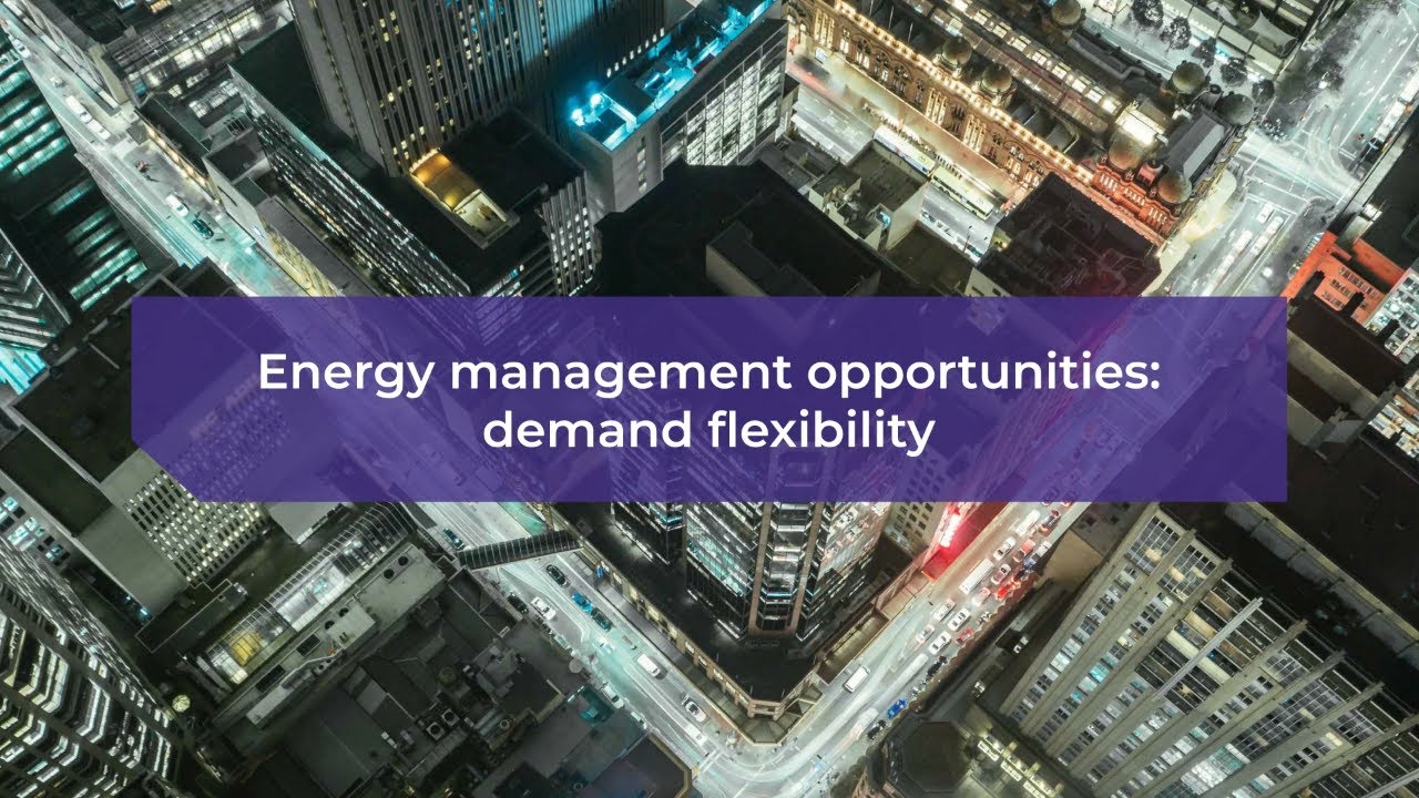 Energy management opportunities: demand flexibility