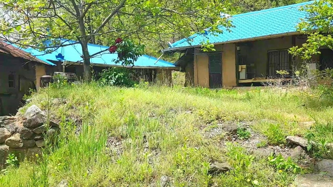 황악산자락 해발600의 직통마마을 // 집으로촬영지