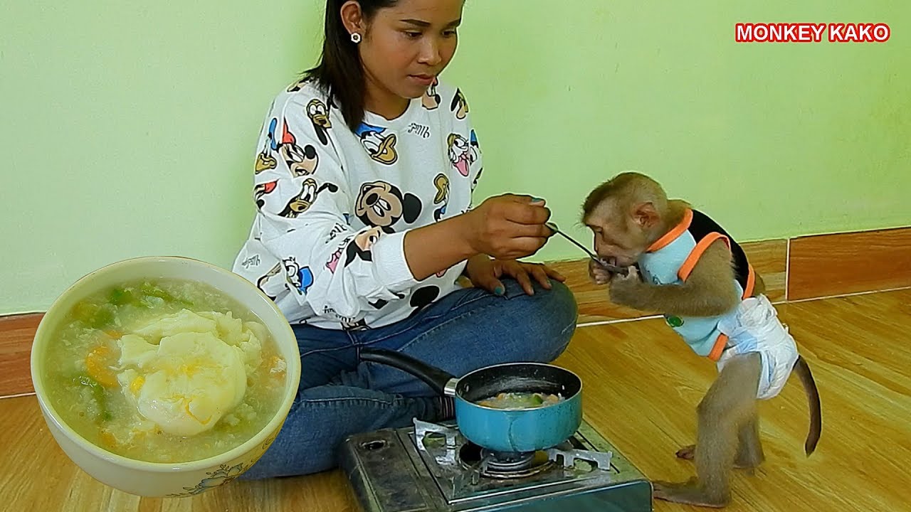 Monkey Kako Testing Special Porridge Egg With Luffa Gourd | Monkey Eating Porridge Vegetable