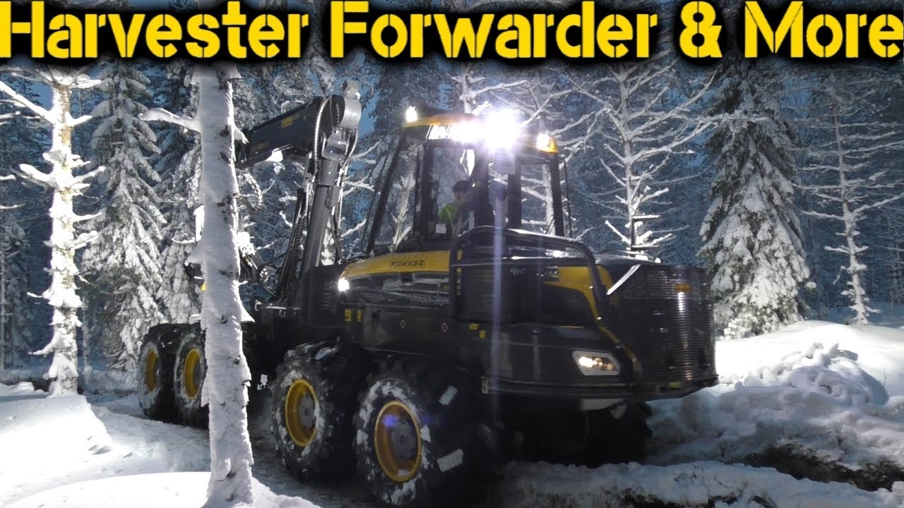 Ponsse Bear | Clearfell in Winterforest