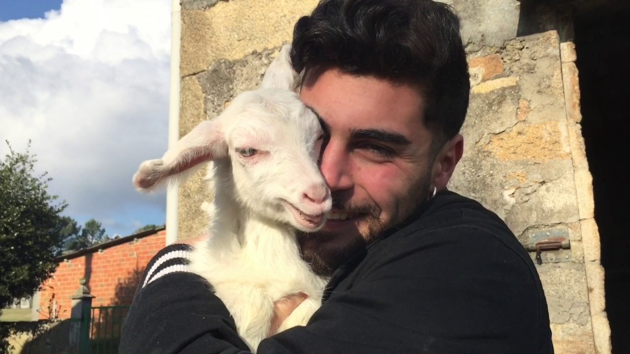NUEVA CABRITA!!! VIAJE A LUGO