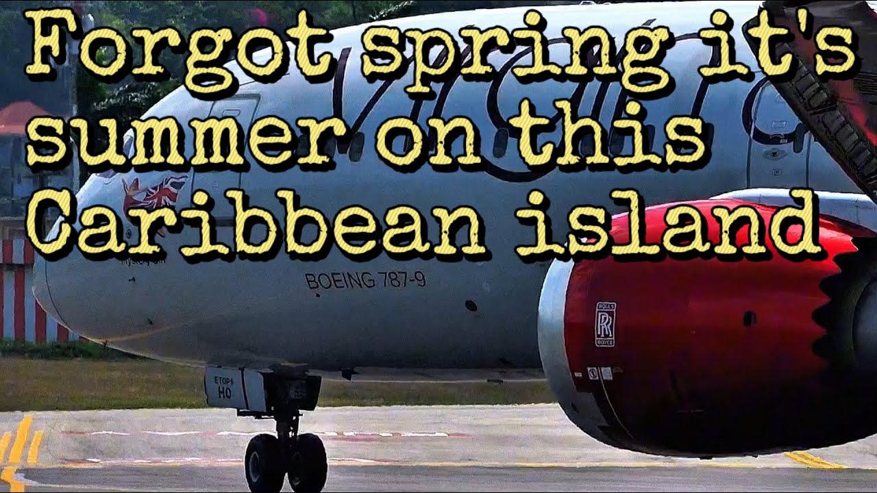 Jamaica's Busy Airport: Plane Spotting Adventure