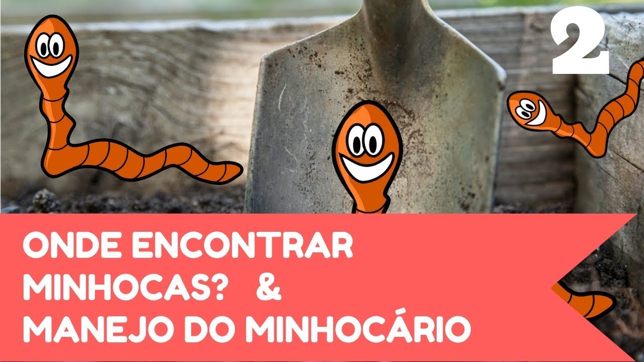 Tudo sobre Minhocário 02 - Onde conseguir as minhocas + Manejo do minhocário