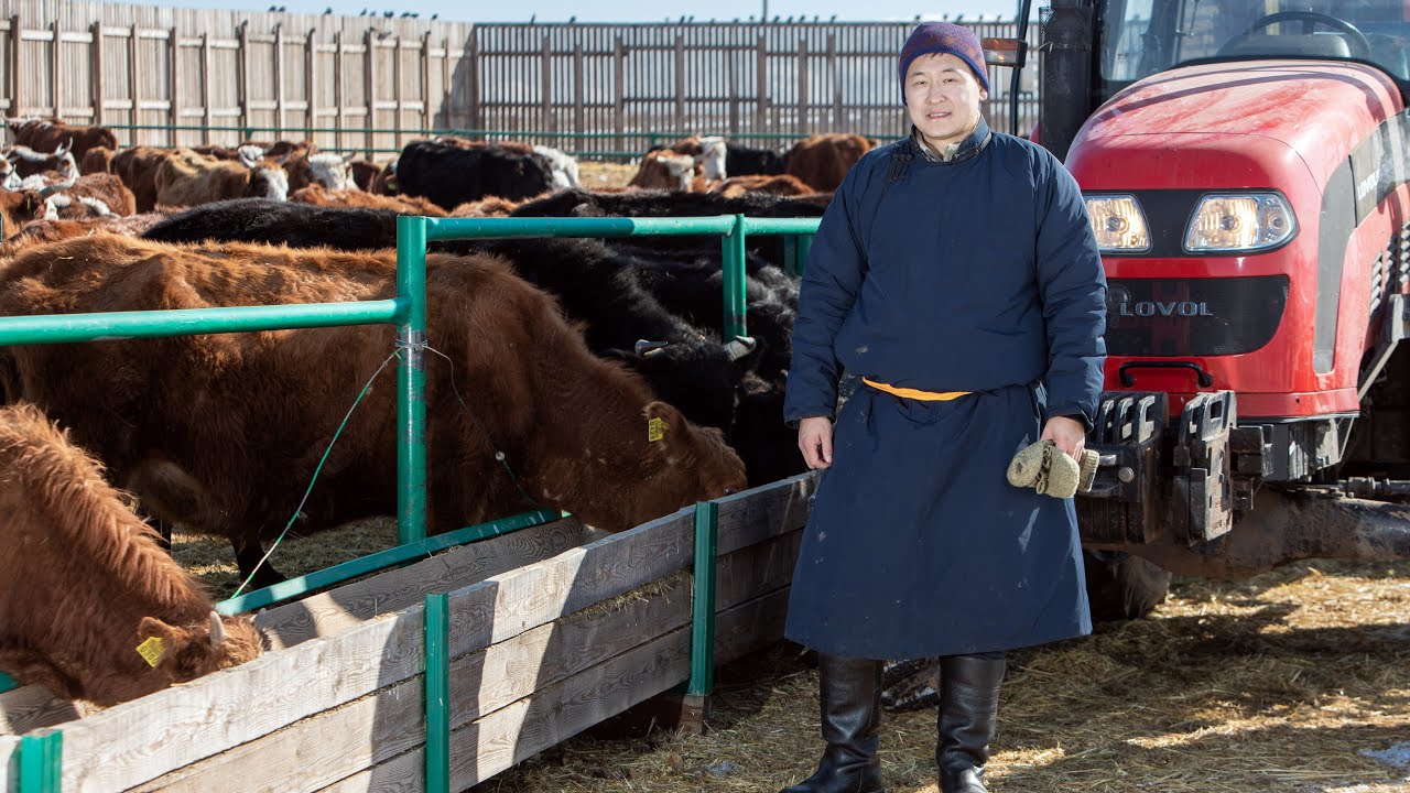 Танайд хоноё - Инженер Б.Мөнхбаатар