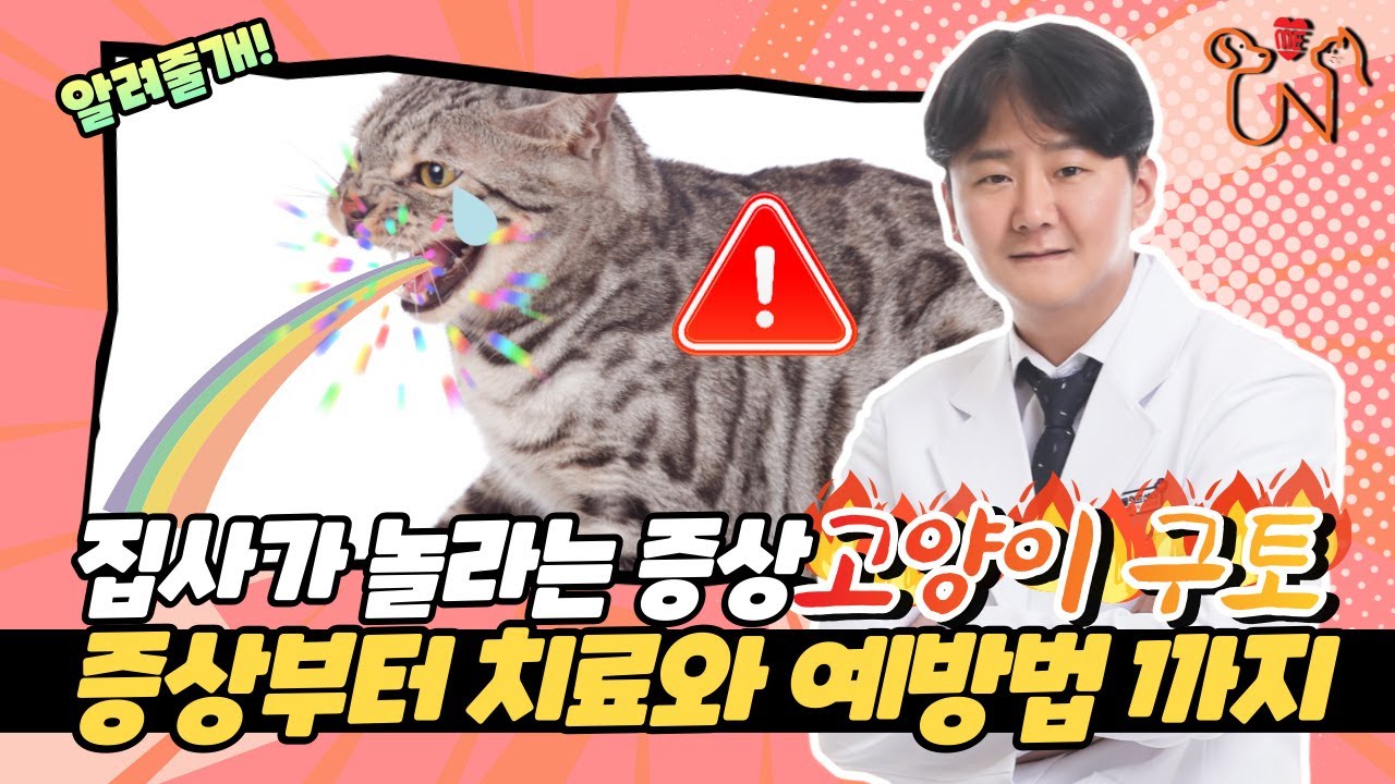 [고양이 구토] 고양이가 보내는 위험한 신호! 원인부터 증상, 예방법까지!