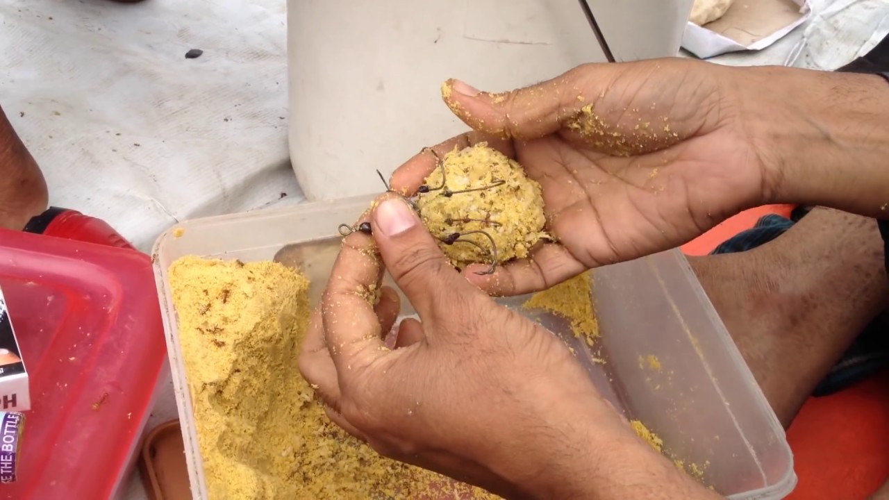 Make Catla Fish bait, crap fish bait