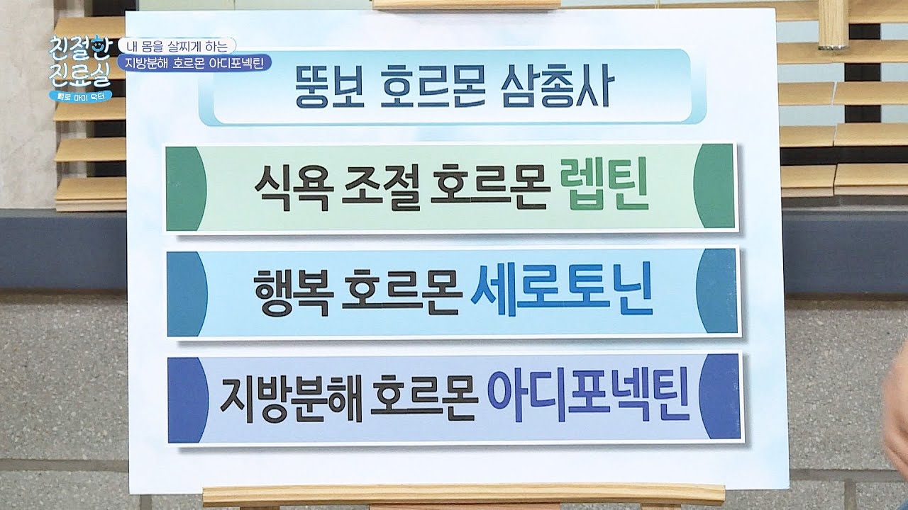 내 몸을 살찌게 하는 뚱보 호르몬 삼총사 [렙틴, 세로토닌, 아디포넥틴] 친절한 진료실(hello my doctor) 21회 | JTBC 201207 방송