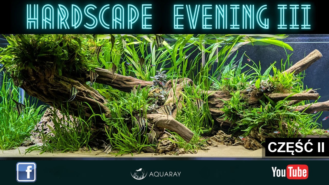 HARDSCAPE EVENING III - AKWARYSTYCZNY24 Świdwin - Aranżujemy zbiornik 900L Akvastabil FUSION cz. II