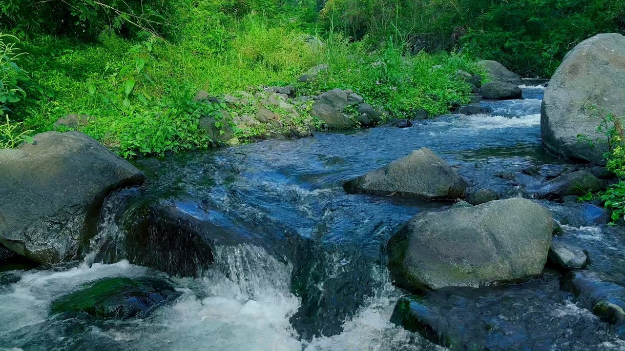Tranquil River Ambiance in 4K for Rest, Relax, or Sleep Background Sound | River ASMR