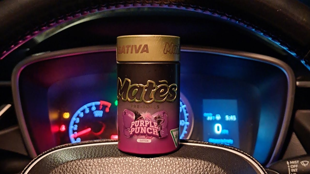 Muha Meds Mates Purple Punch-Review-😈🐙🪀💨💨