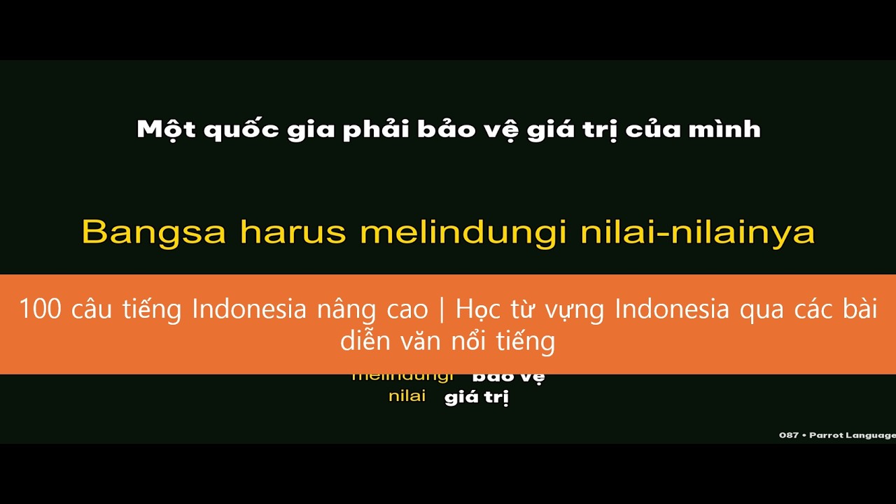 100 câu tiếng Indonesia nâng cao｜Học từ vựng Indonesia qua các bài diễn văn nổi tiếng