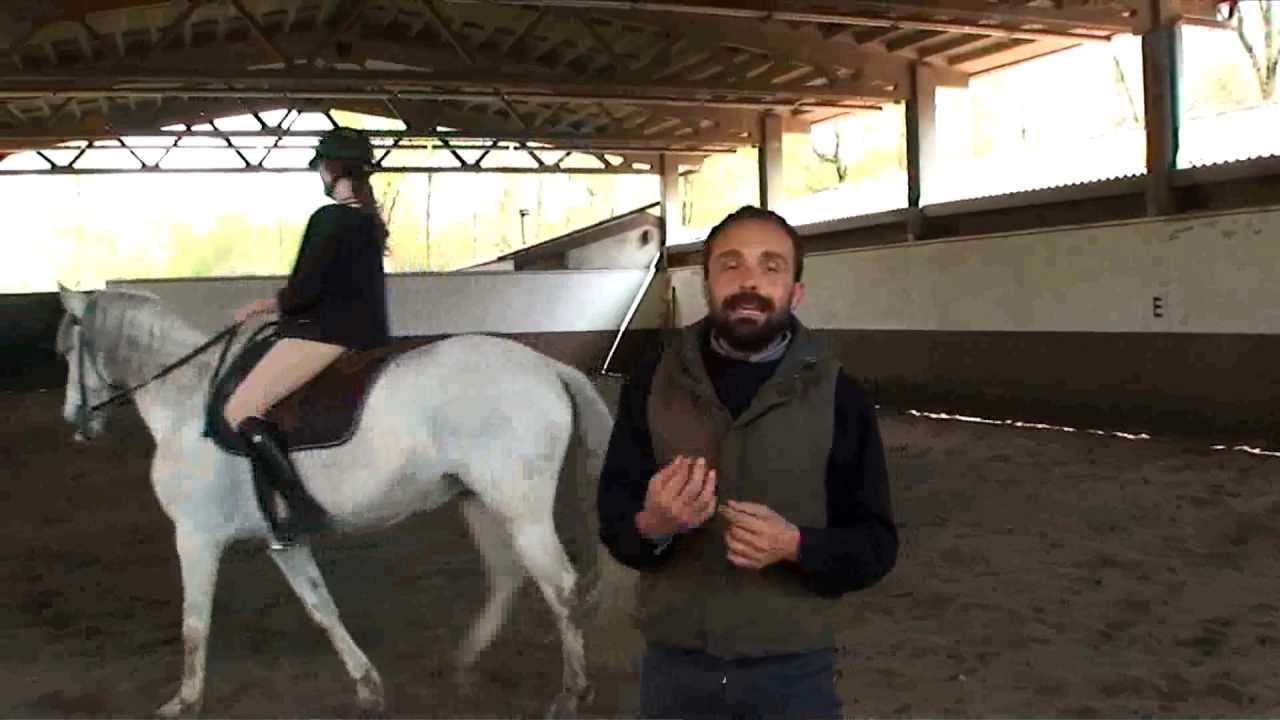 Francesco Vedani Equitazione - Travers , Renvers, groppa in dentro, groppa in fuori