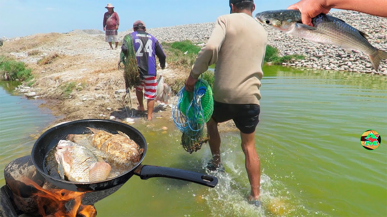 Pesca Y Cocina De Tilapias Gigantes En Laguna con amigos - fishing and cooking