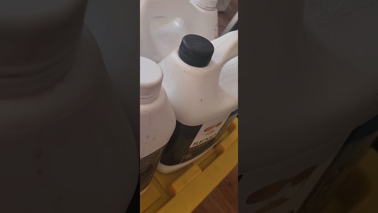 growing setup lemon pineapple auto