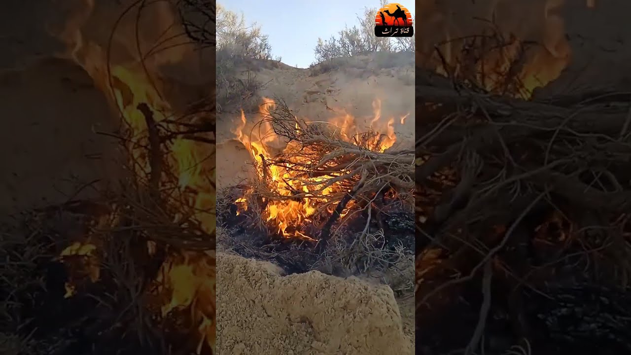 اجمل الاصوات البدوية في وادي سوف محمد قنيدي وإبراهيم الخمس (بدار بعيد)