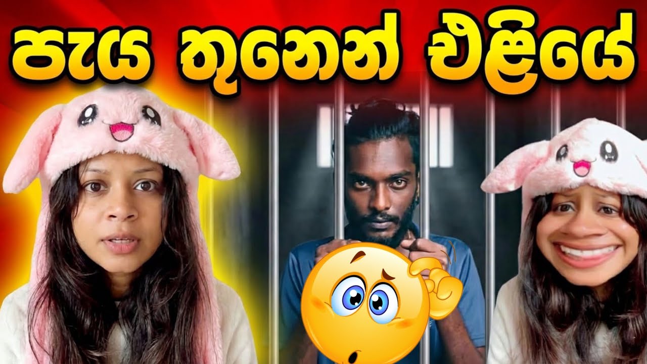 මම මීට කලින් මෙහෙම දෙයක් දැකලා නෑ! 🚫 මුන්නම් මිනිස්සු වෙන්න බෑ!😳 | Habibi Reacts