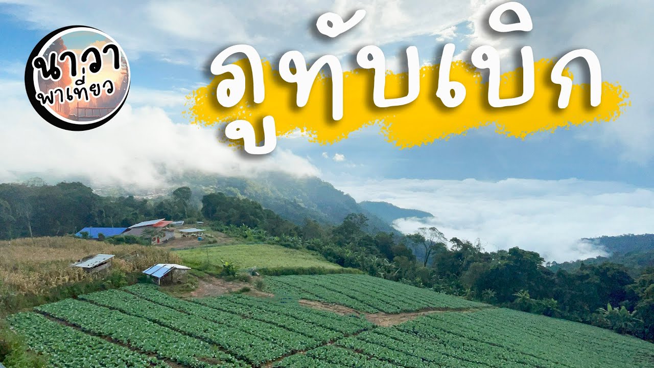 เที่ยวภูทับเบิก ชมวิวสวยๆ อากาศดีๆ อยากให้ทุกคนได้เจอในแบบที่เราเจอ