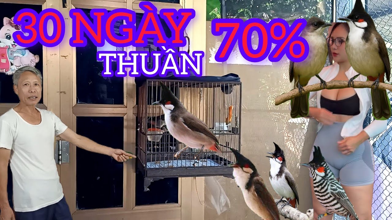 C&Aacute;CH THUẦN CH&Agrave;O M&Agrave;O Đ&Uacute;NG 30 NG&Agrave;Y THUẦN 70%  ĐƠN GIẢN NHƯ ĂN KẸO 