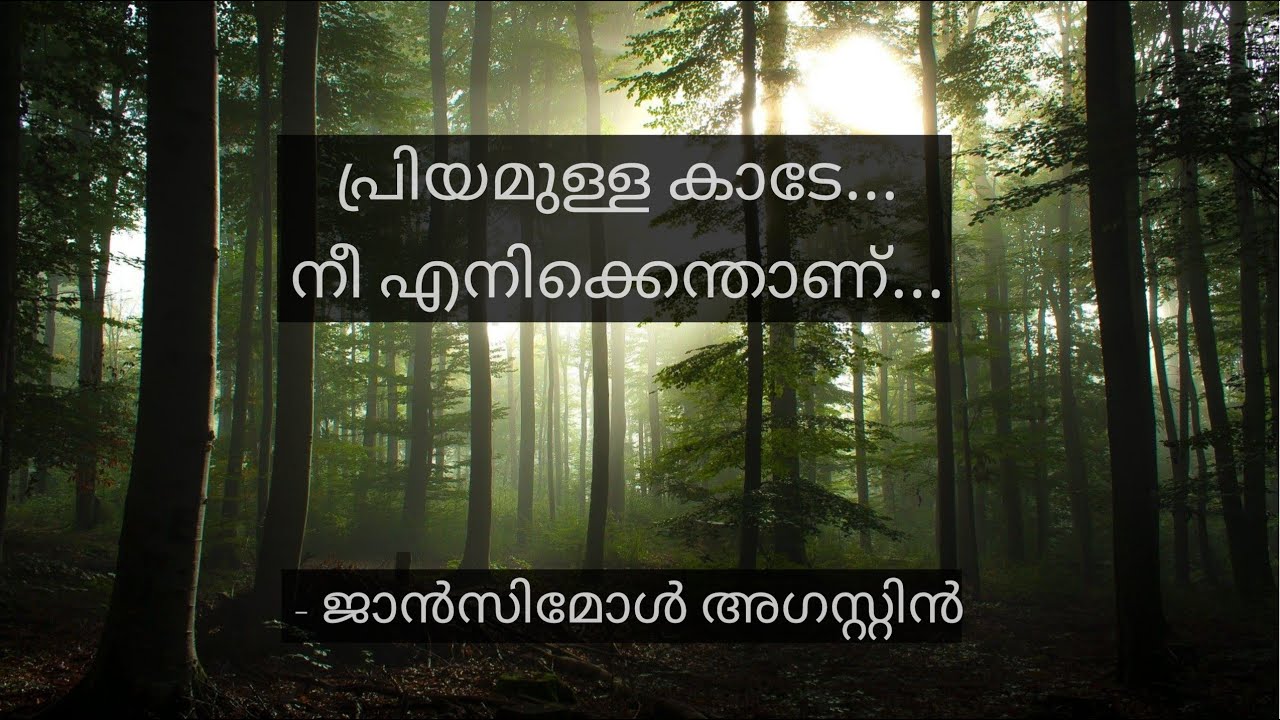 Priyamulla Kaade, Nee Enik Enthaanu