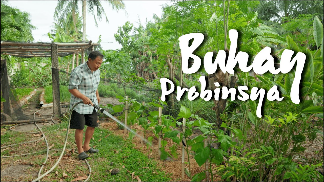 Koreans Try Tapsilog Filipino Breakfast Food Cooking and Eating in the Province Philippines